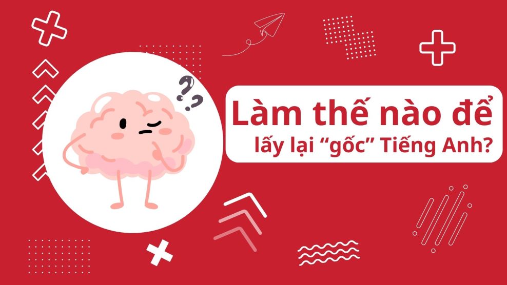 học lấy lại gốc tiếng anh