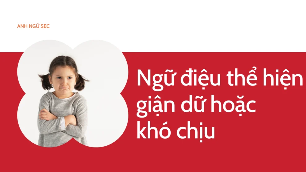 Ngữ điệu thể hiện giận dữ hoặc khó chịu