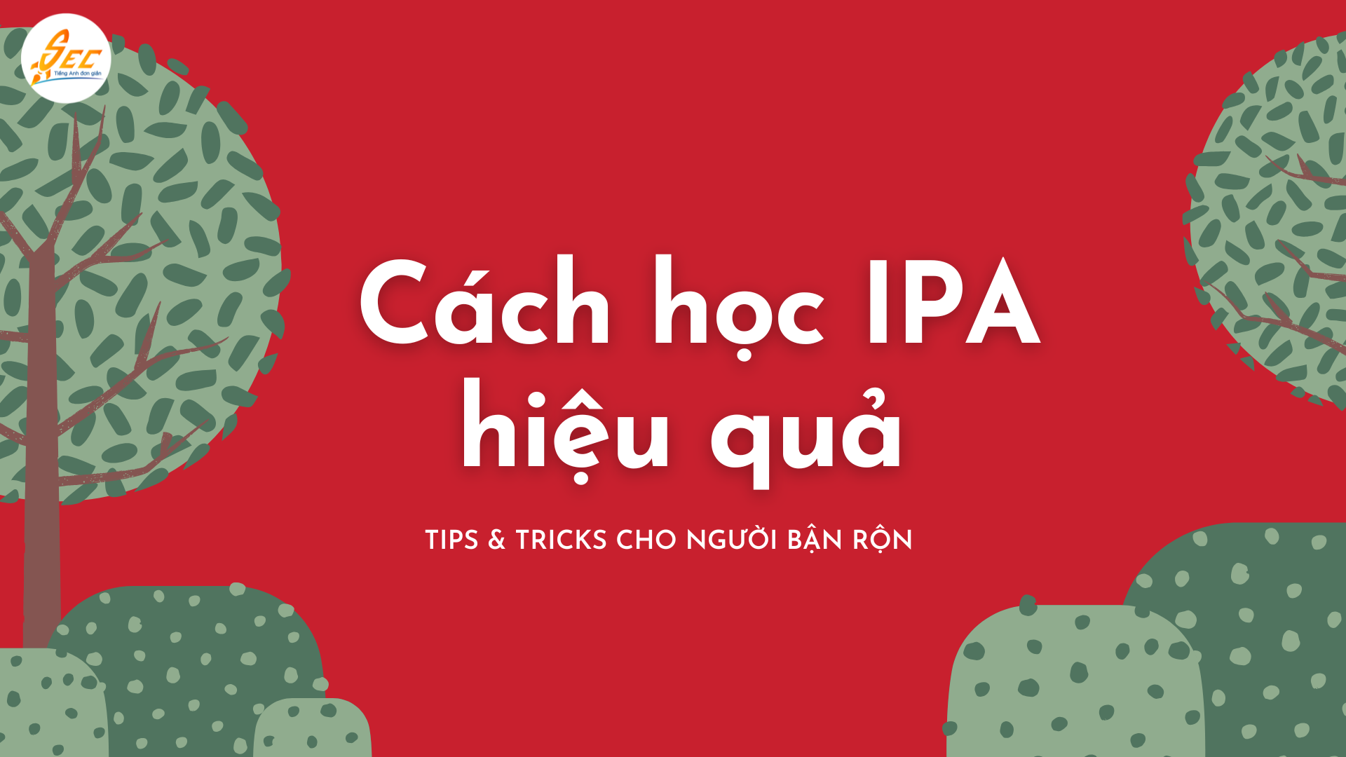 Cách học IPA hiệu quả – Tips & Tricks cho người bận rộn mới nhất 2025 Cách học IPA hiệu quả