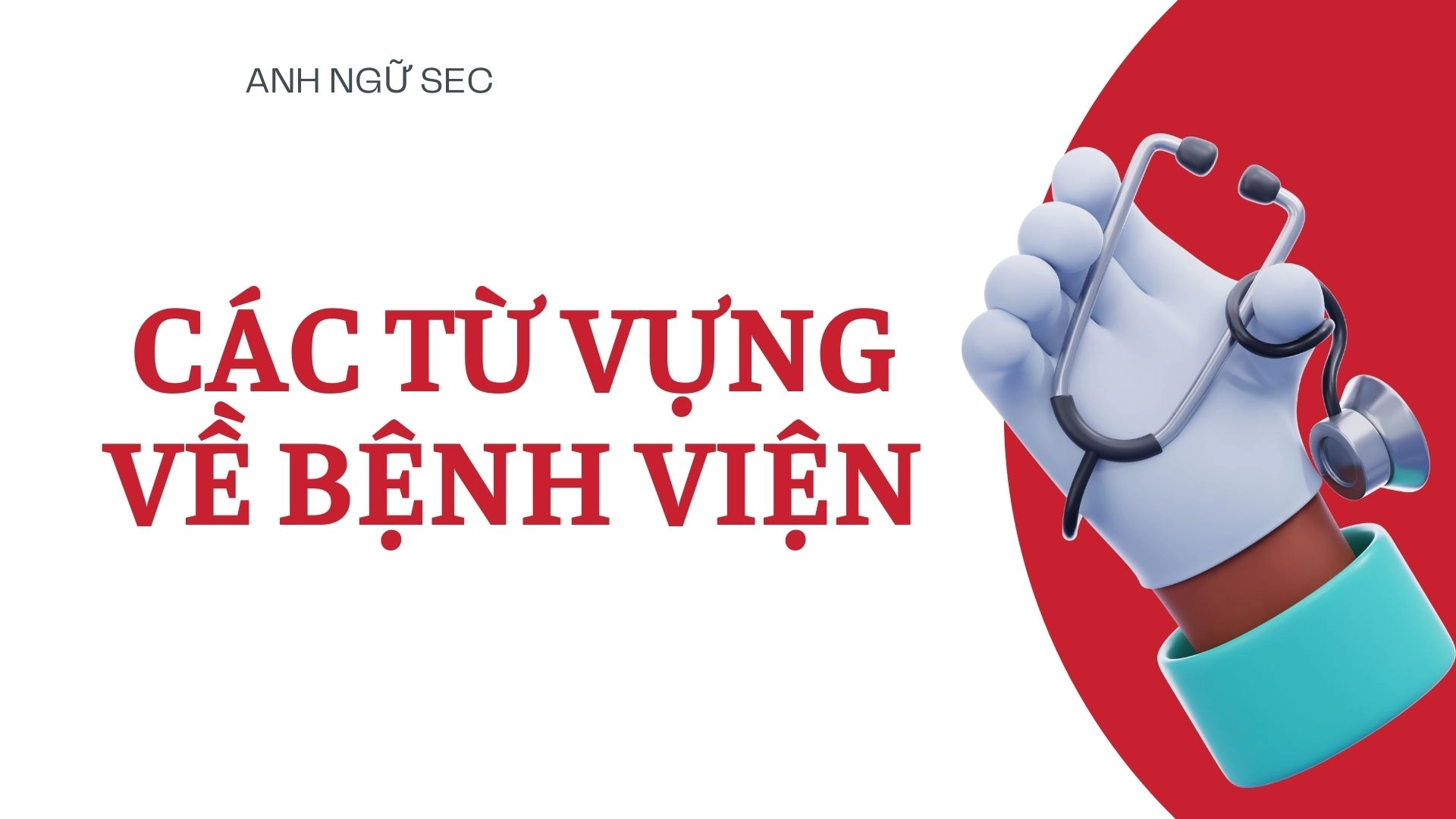 Các từ vựng về bệnh viện