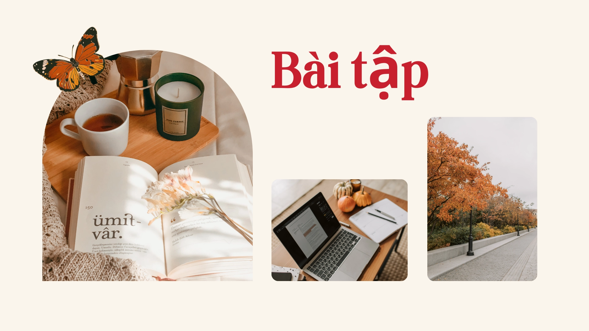 Describe a Habit or Routine 