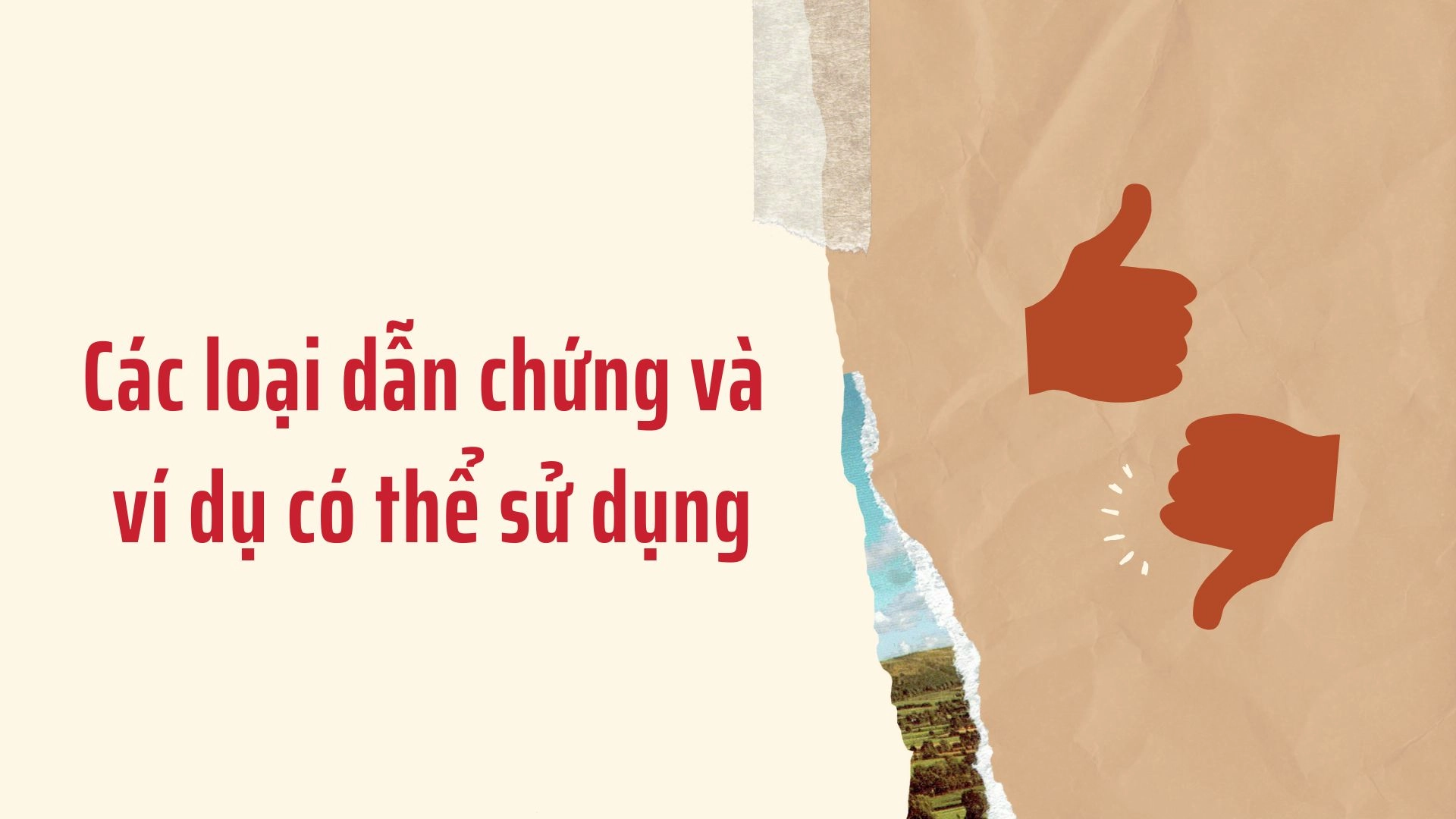 Cách cung cấp dẫn chứng và ví dụ