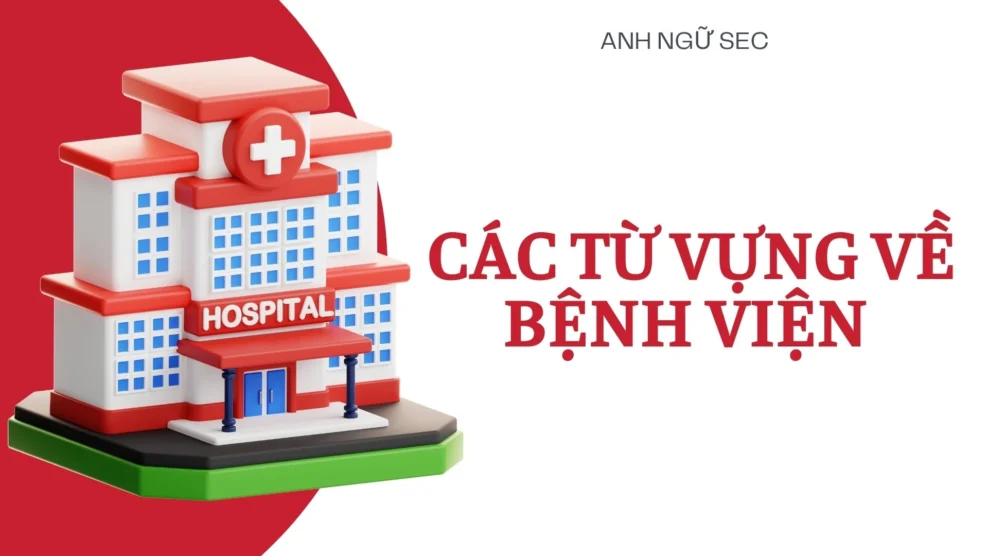 Các từ vựng về bệnh viện