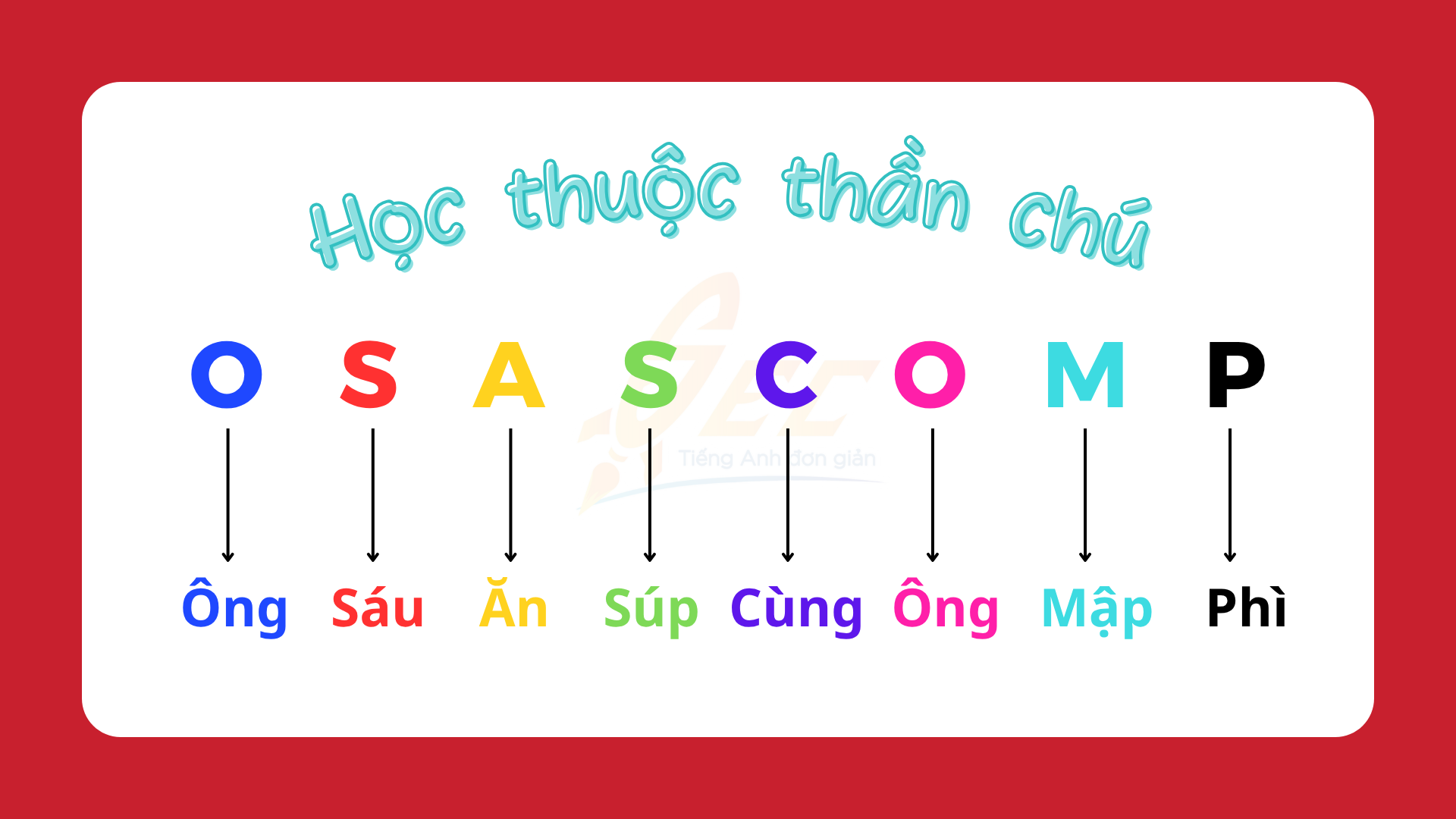 Vị Trí Của Tính Từ Trong Tiếng Anh: Vị Trí Tính Từ Trong Câu Tiếng Anh Và Cách Sắp Xếp Tính Từ Chuẩn (2025) OSASCOMP 2