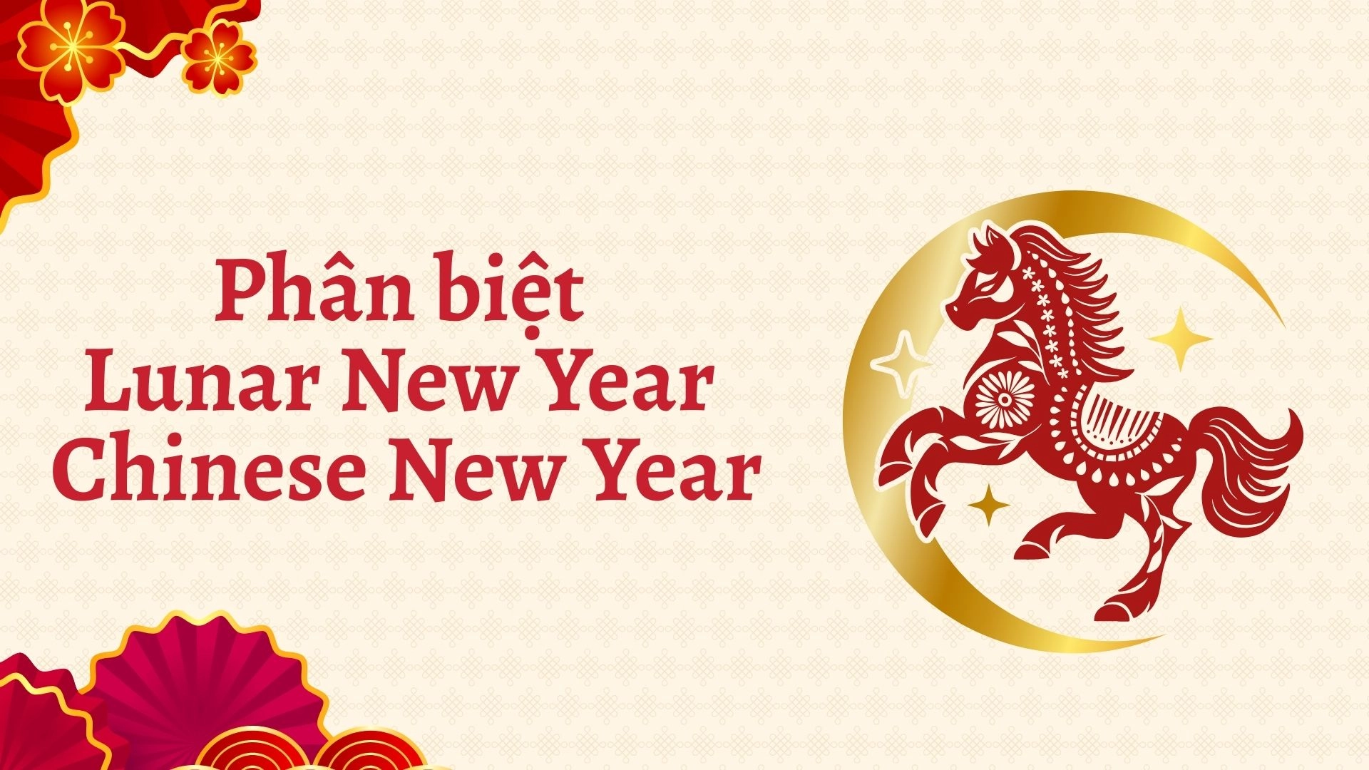 Tết âm lịch tiếng Anh là gì? 2026 Tết Âm Lịch Tiếng Anh Là Gì?