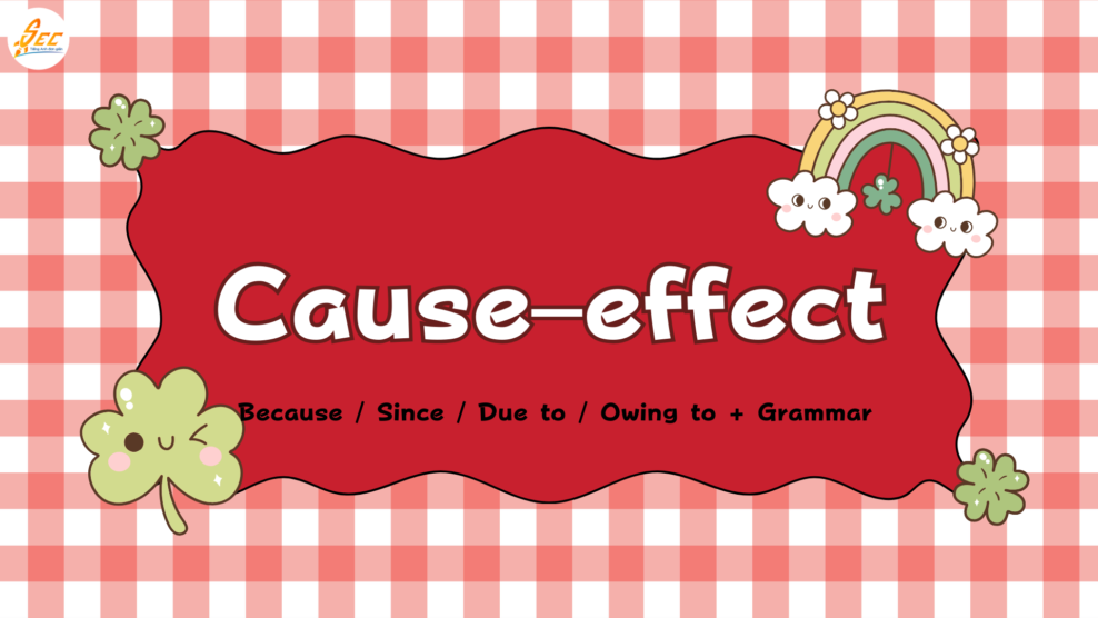 Cause–effect + Because / Since / Due to / Owing to