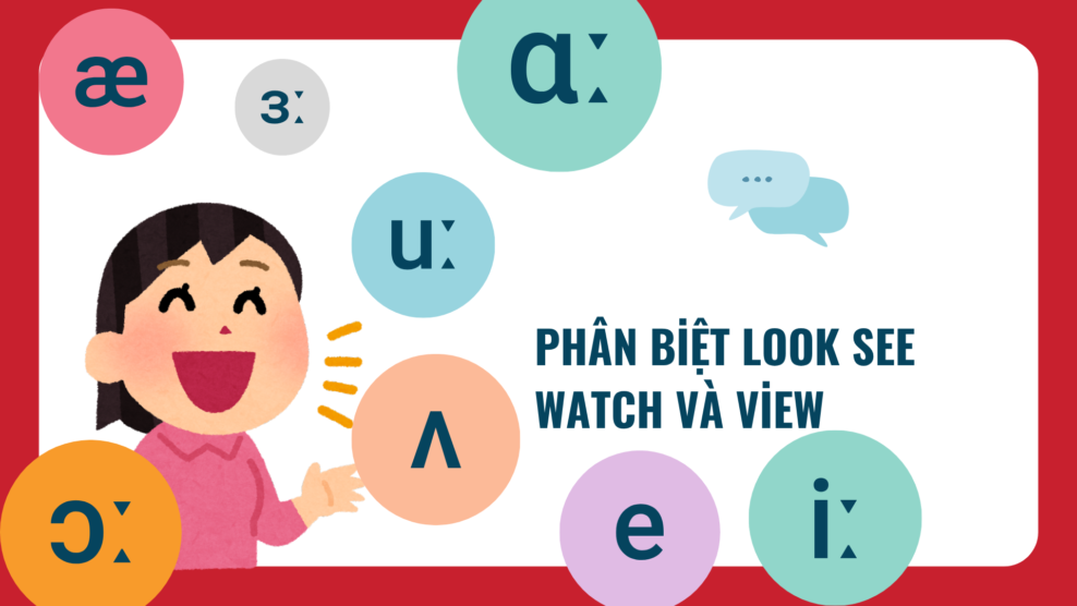 Phân biệt Look See Watch và View (2026) Phân biệt Look See Watch và View: Hướng dẫn cách dùng Look See Watch chuẩn nhất